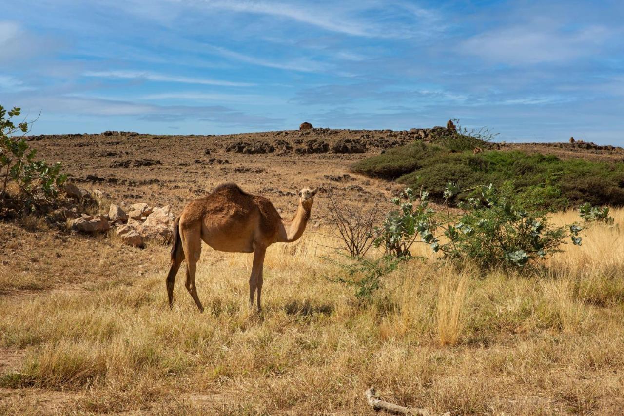 Готель Alila Hinu Bay Salalah Mirbat Екстер'єр фото